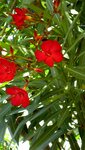 IMG_1259.jpg