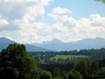 IMG_1291.jpg