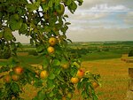 IMG_1318.jpg