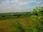 IMG_1315.jpg
