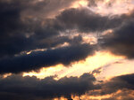 DSC00459.jpg