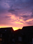 DSC02539.jpg