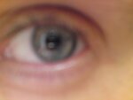 DSC00055.jpg