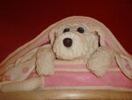 image0042.jpg