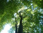 herbst5.jpg