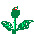 blume0101.gif