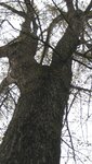 IMG_1641.jpg