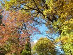 herbst1.jpg