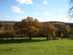 herbst2.jpg