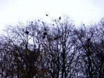 Bild 344.jpg