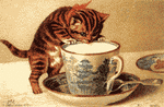 katze_0183.gif katze_0183.gif