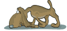hunde-c5.gif