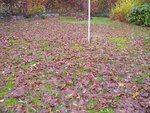 Bild 365.jpg
