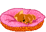 katze_0114.gif