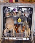 spuelmaschinen-hund.jpg