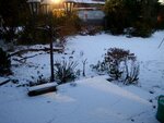 Bild 438.jpg
