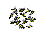 biene_0018.gif