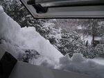 Bild 455.jpg