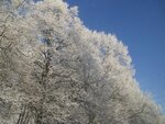 Bild 496.jpg