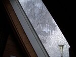 Bild 499.jpg