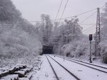 Schneebäume 005.jpg