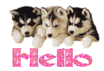 hello_0063.gif
