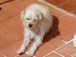 TOMANDO EL SOL p.JPG