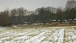 IMG_1872.jpg