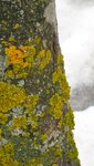 IMG_1853.jpg