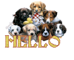 hello_0090.gif