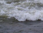 8.1.2011 039.jpg