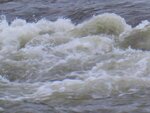 8.1.2011 050.jpg
