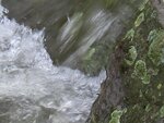 8.1.2011 015.jpg