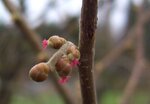 8.1.2011 093.JPG