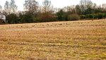 IMG_1883.jpg