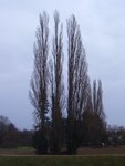 9.1.2011 070.jpg