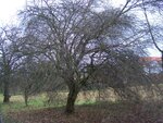 9.1.2011 127.jpg