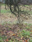 9.1.2011 120.jpg