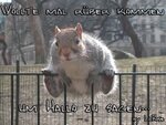 hallo_3.jpg