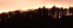 F 004.JPG
