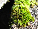 IMG_9362.jpg