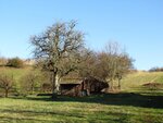 IMG_9352.jpg