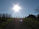 IMG_9430.jpg