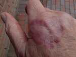 K800_hand 2011 002.JPG