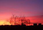 15.1.2011 019.JPG