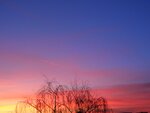 15.1.2011 021.jpg