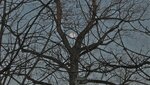 IMG_1917.jpg