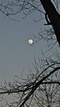 IMG_1923.jpg