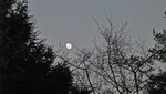 IMG_1927.jpg