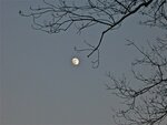 IMG_1925.jpg